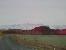 05_toLakeTekapo5