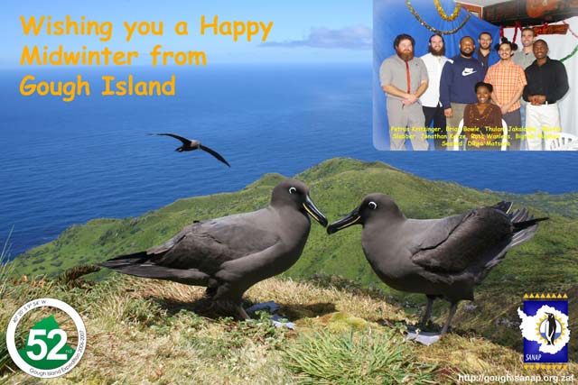 gough_island_midwinter_greeting